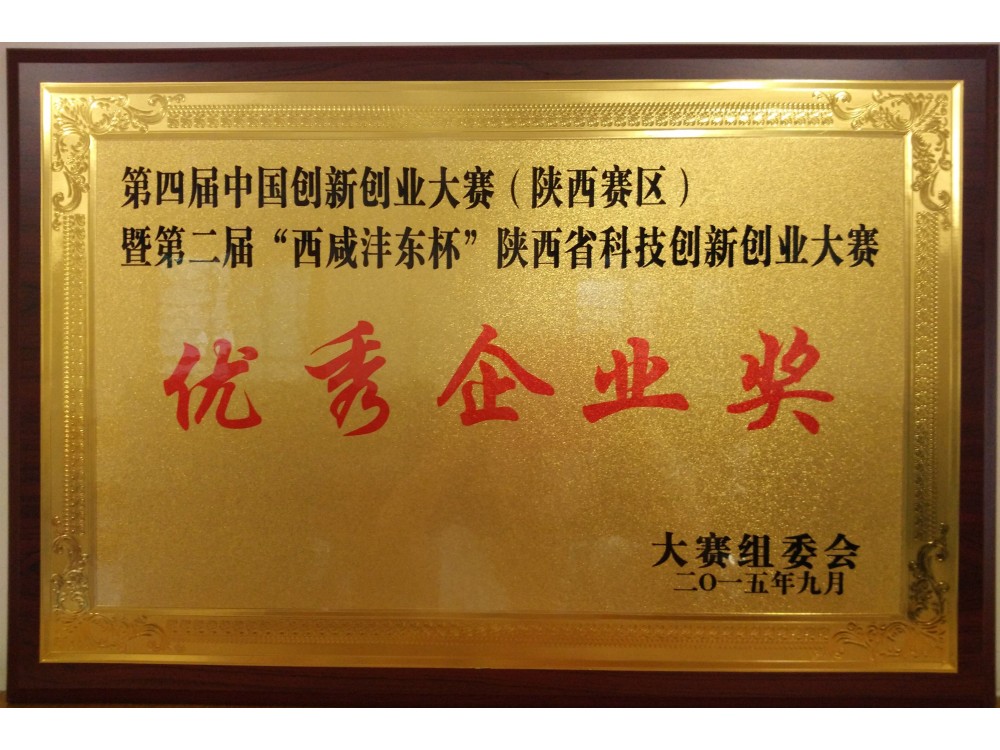 “西咸沣东杯”创新大赛优秀企业奖